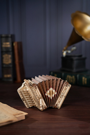 ROBOTIME 3D Wooden Puzzle - Accordion