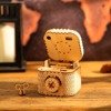 ROBOTIME 3D Wooden Puzzle - Treasure Chest