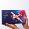 Veter Models 3D Puzzle - Speed Fighter Aircraft