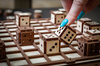 EWA Wooden 3D Puzzle - Game Set