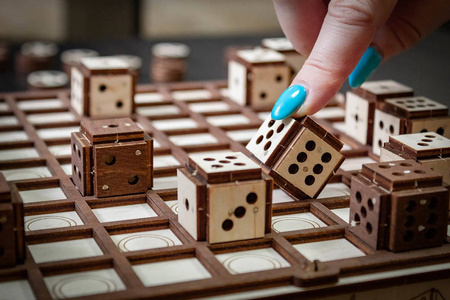 EWA Wooden 3D Puzzle - Game Set