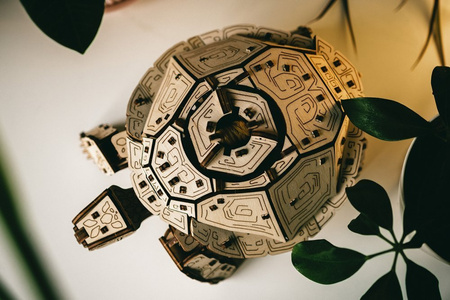 EWA Drewniane Puzzle 3D - Chodzący Żółw