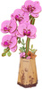 ROBOTIME Drewniane Puzzle Model 3D DIY Orchidea